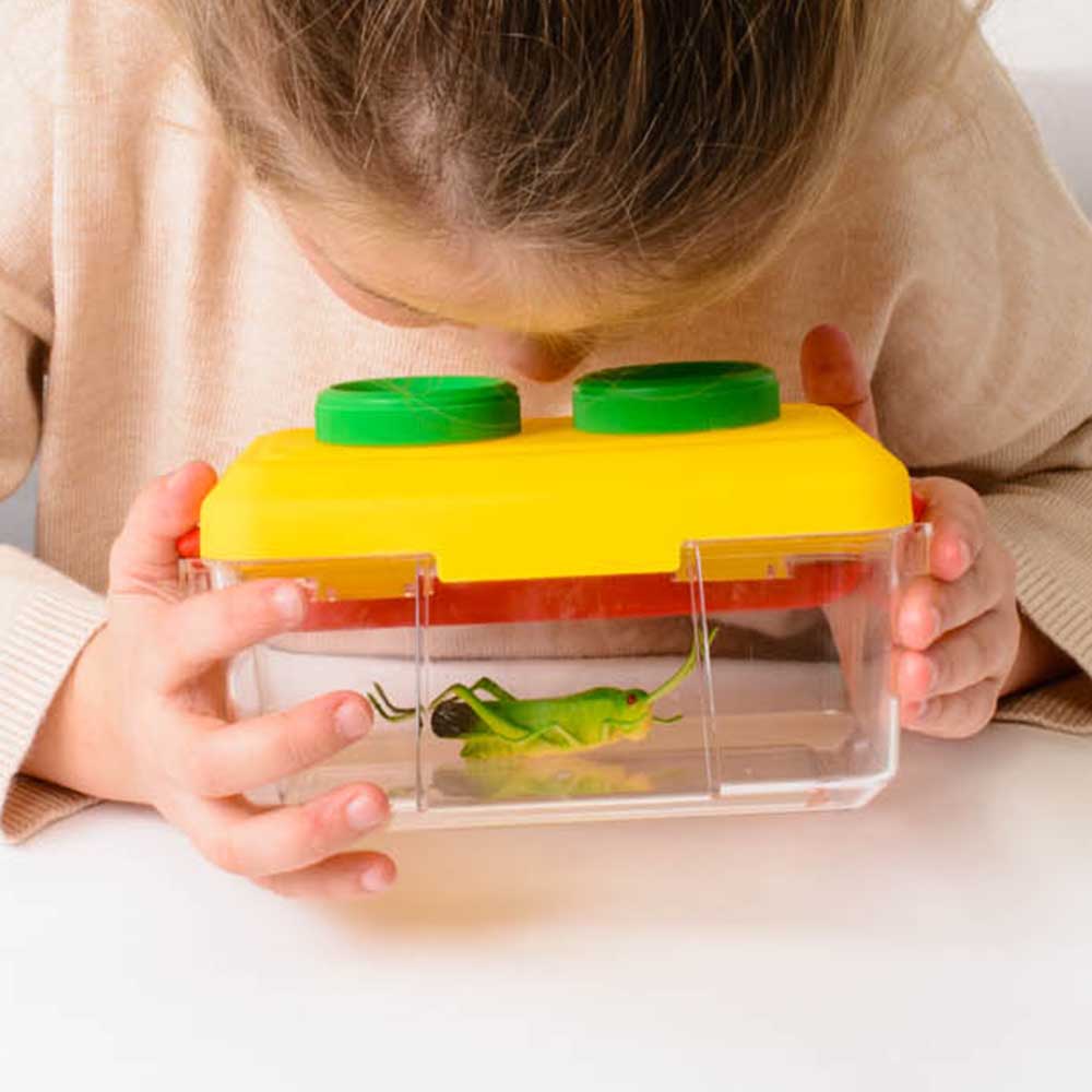 Nature Detective Set