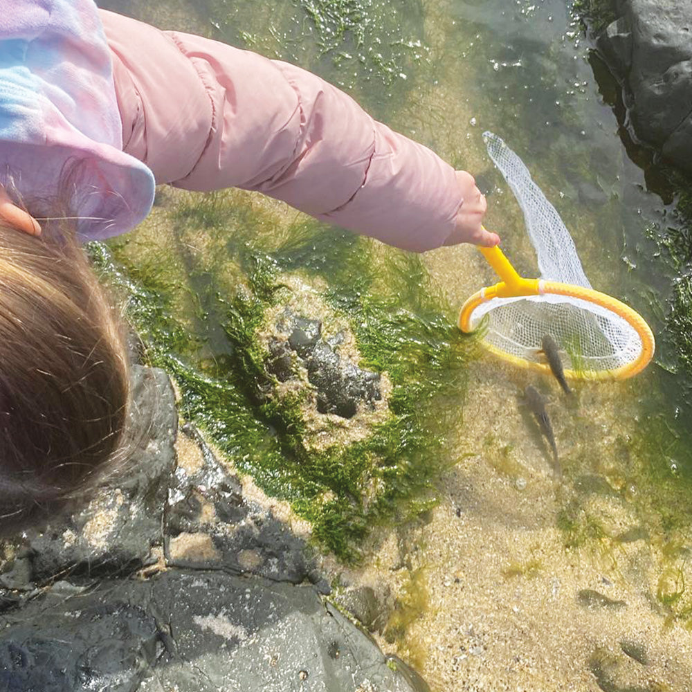 Pond Dipping Kit