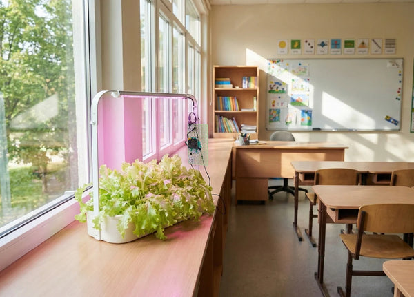 Smart Hydroponics Kit