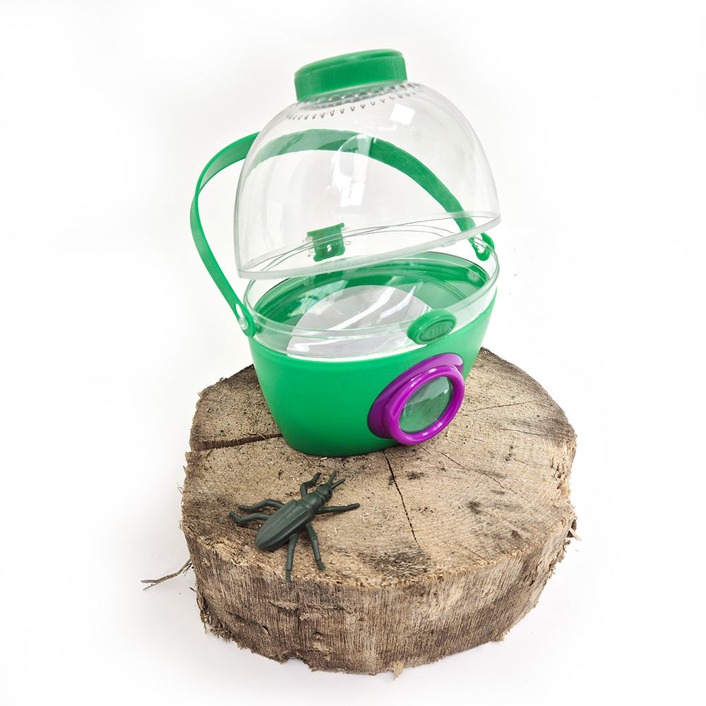 Forest Schools - Urban School Kit