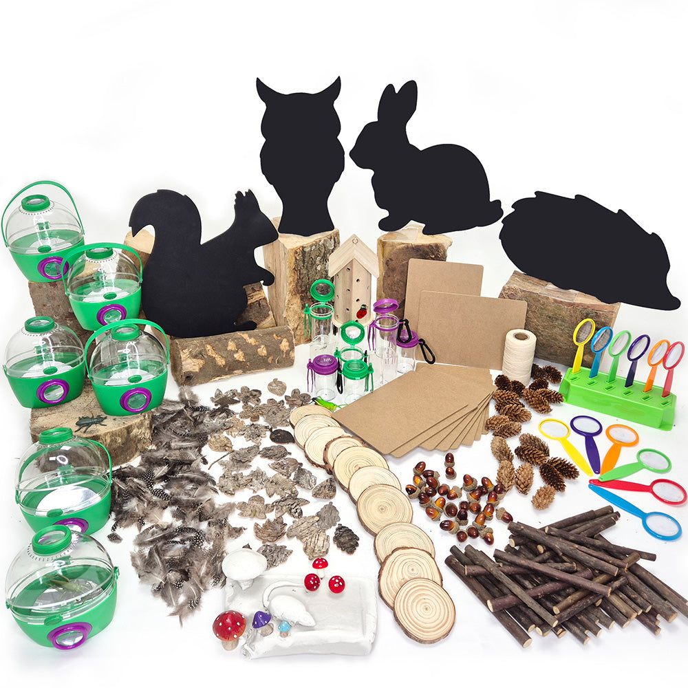 Forest Schools - Urban School Kit