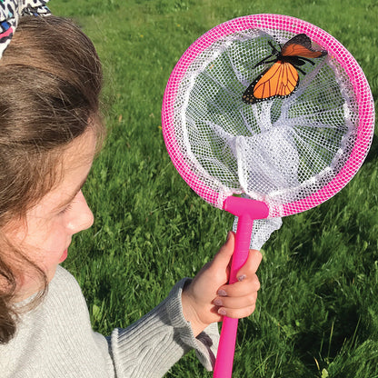Plant and Bug Hunting Kit
