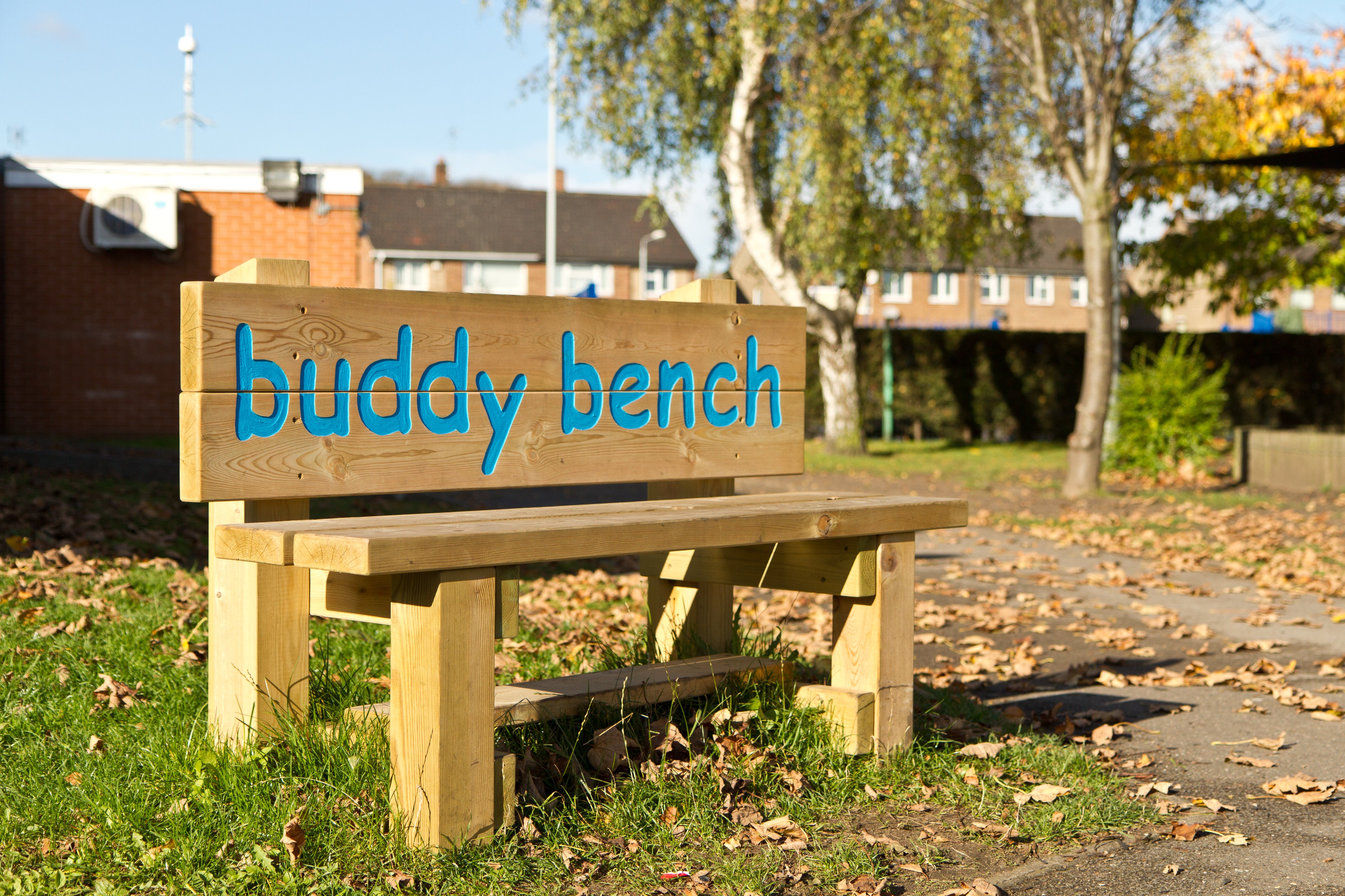 Buddy Bench