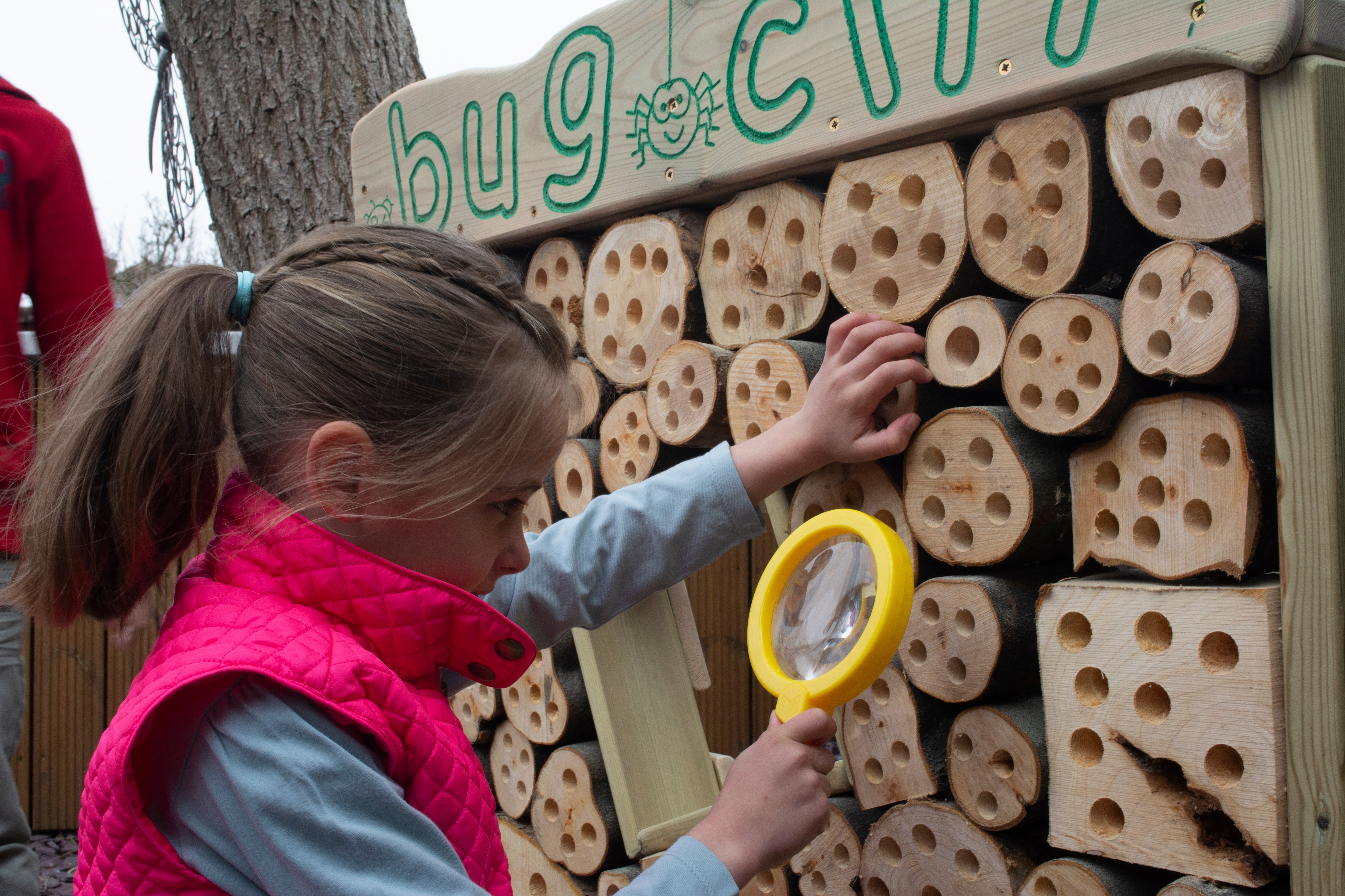 Bug City Mini Beast Natural Habitat