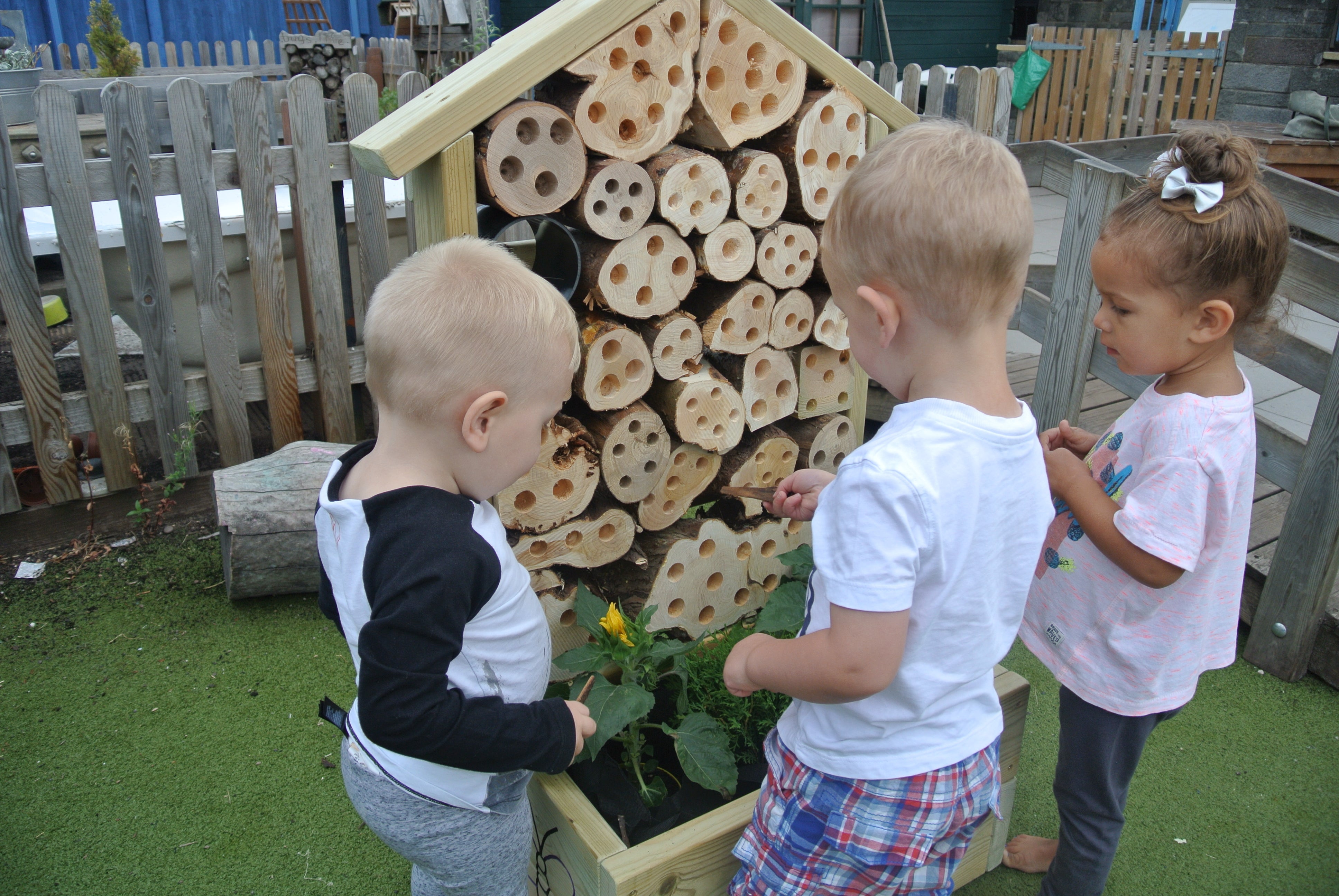 Bugs Life and Planter