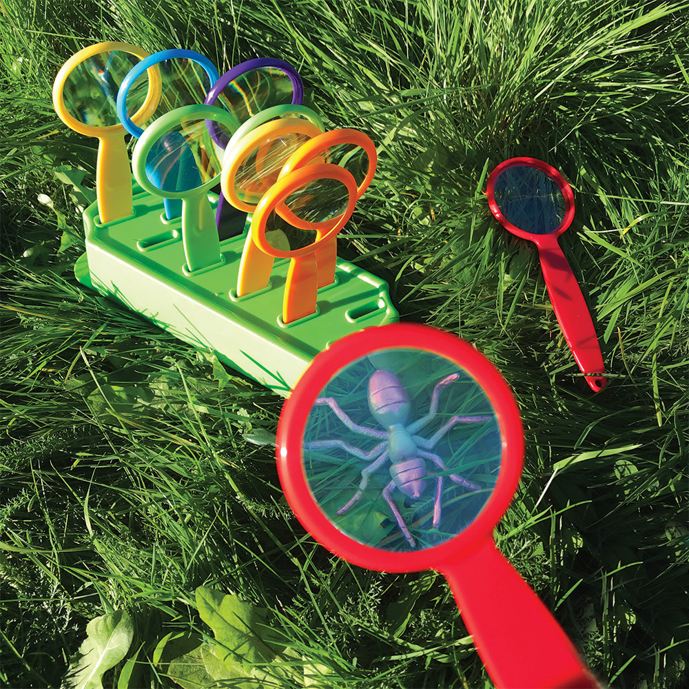 Forest Schools - Urban School Kit