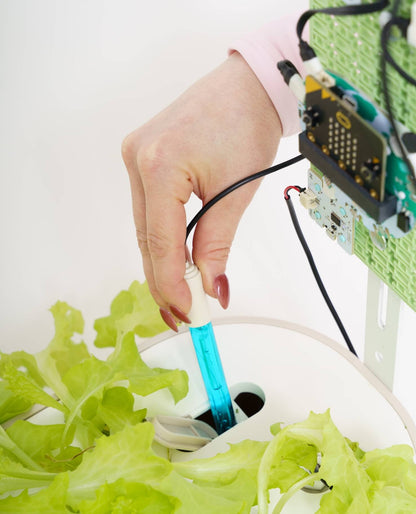 A close-up showing a hand inserting a blue electronic sensor into a hydroponic growing system filled with green lettuce leaves. In the background, a micro:bit controller is mounted on a green modular frame, connected by wires to the automated system.