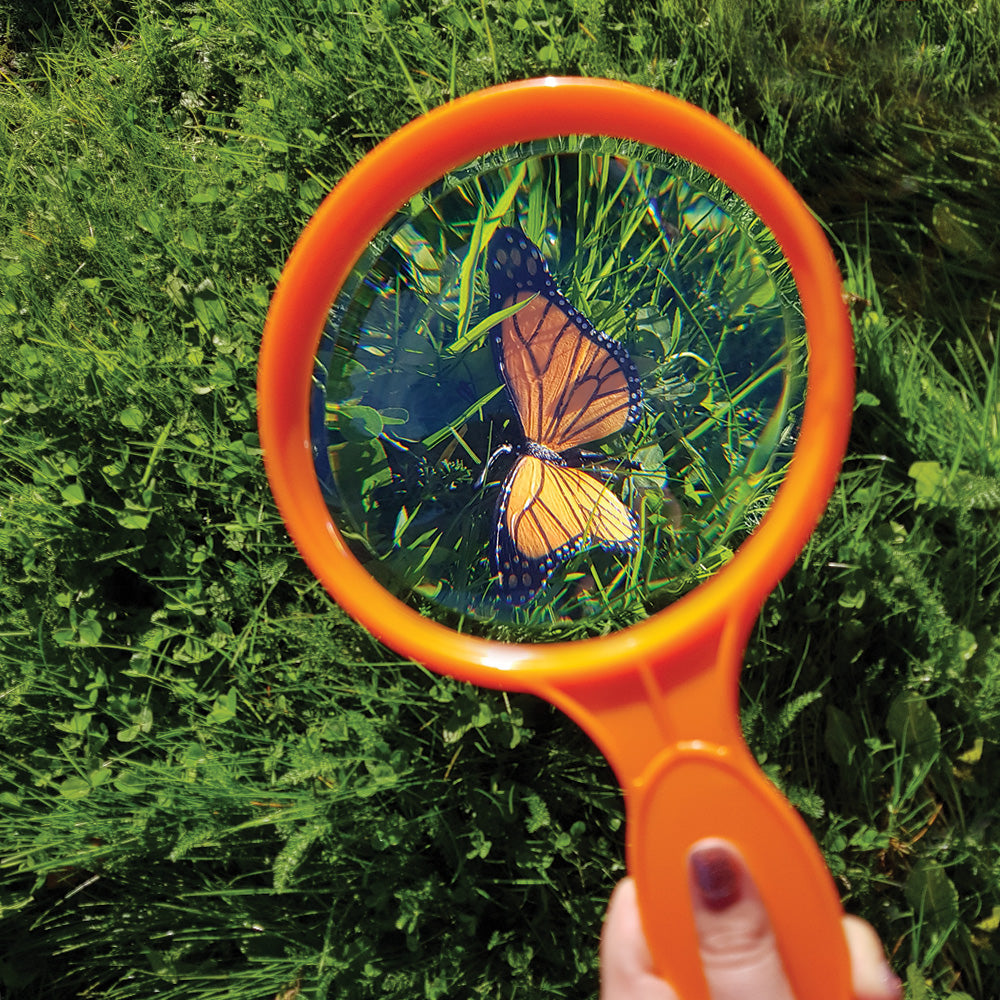 Giant Magnifying Kit