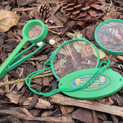 Plant and Bug Hunting Kit