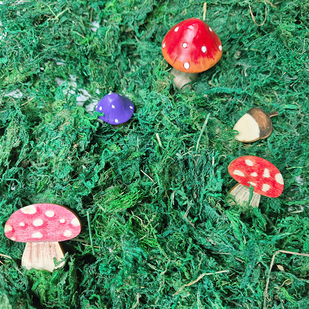 Forest Schools - Natural Woodland Kit