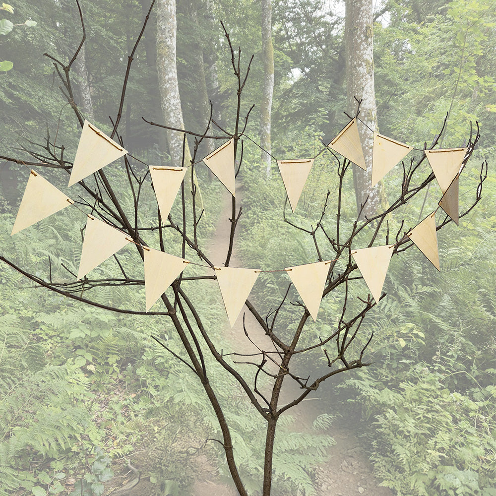 Forest Schools - Natural Woodland Kit