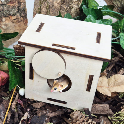 Forest Schools - Natural Woodland Kit