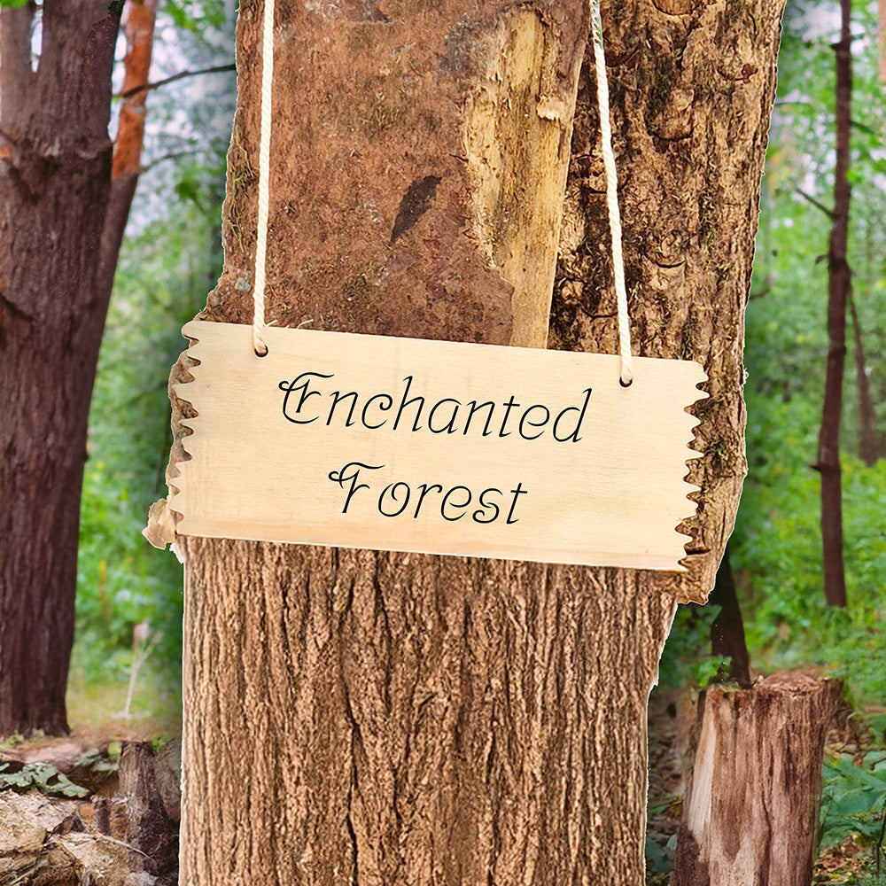 Forest Schools - Natural Woodland Kit