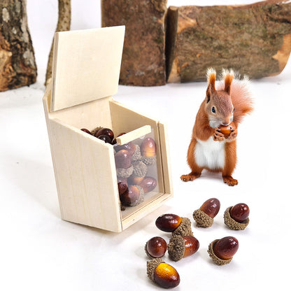 Forest Schools - Natural Woodland Kit